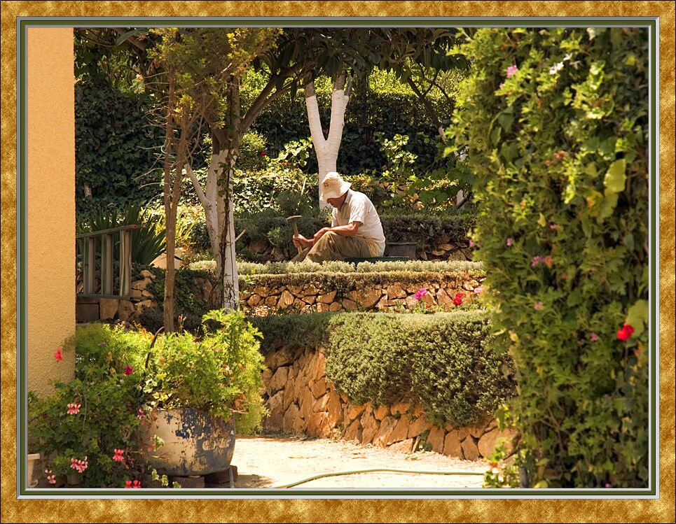 Garden Therapy