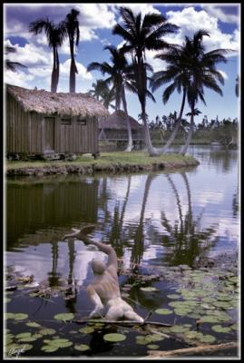 CUBA_064.JPG
