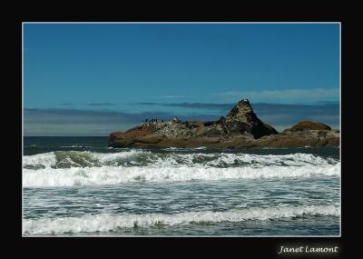 u20/aquaholic2/medium/32979272.DSC_0049E.jpg