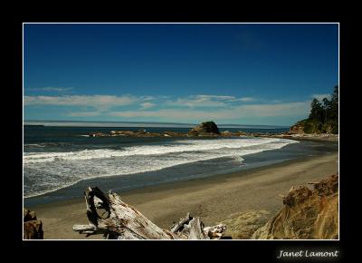 u20/aquaholic2/medium/32979275.DSC_0085E.jpg