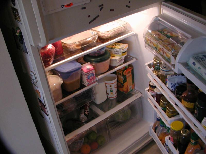 The Fridge