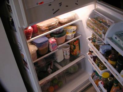 The Fridge
