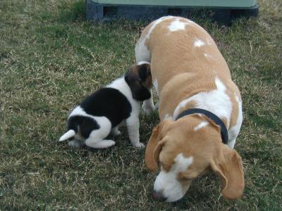 ummm..are you sure you're not my mommy?