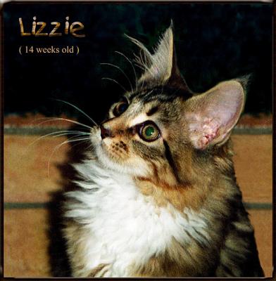 LizzieClose-Up