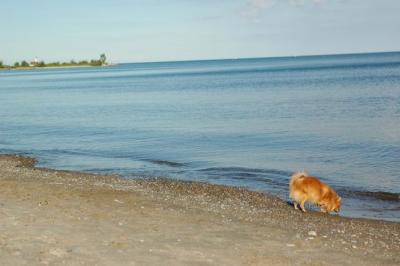 Aug23_04_151.JPG