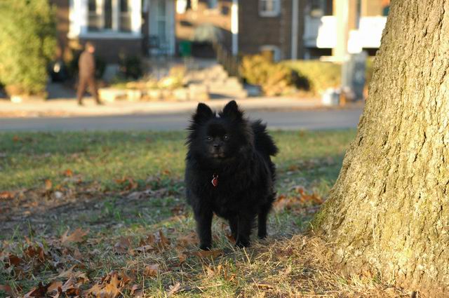 Nov12a_04_247.JPG