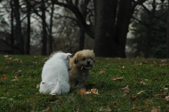 Nov15_04_217.JPG