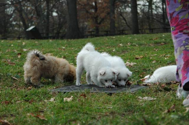 Nov15_04_243.JPG