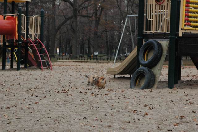 Nov15_04_705.JPG