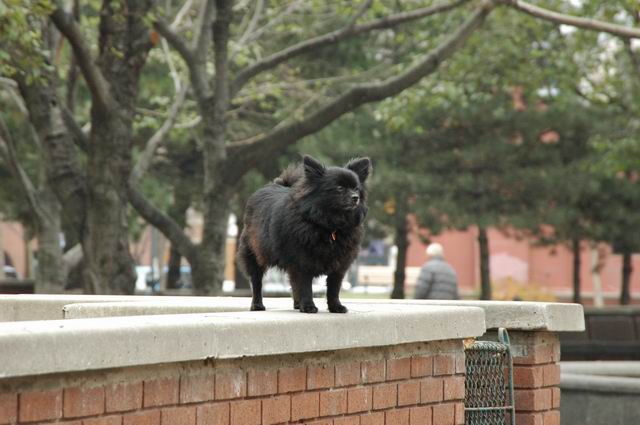 Nov17_04_137.JPG