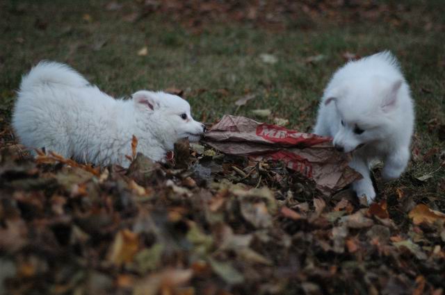 Nov19b_04_157.JPG