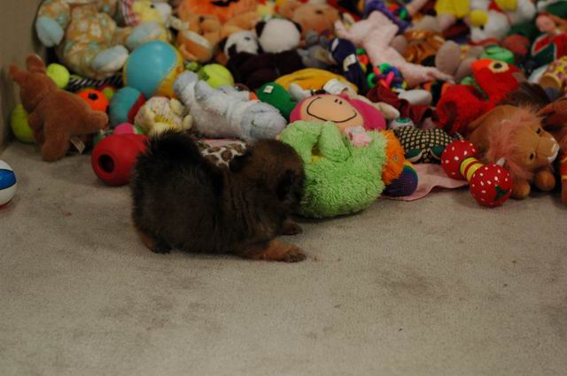 Nov20a_04_293.JPG