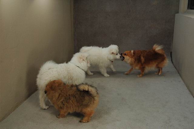 Nov20_04_140.JPG