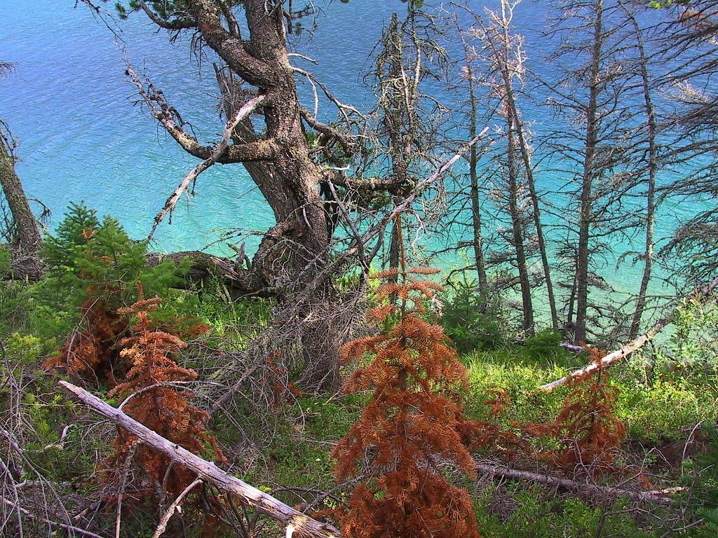 176-7697_IMG.JPG