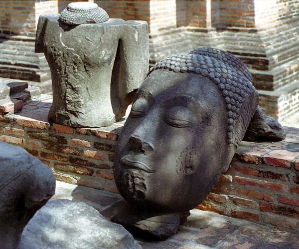 Buddha head, Ayutthaya