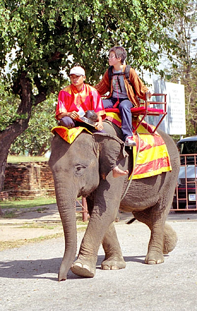 The elephant looks a bit small for riding