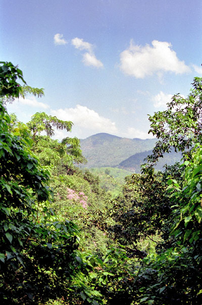 View of the Tenasserim Range, Erawan