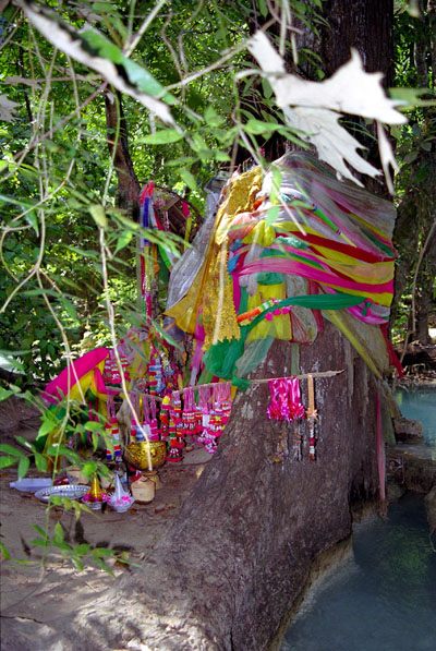 Shrine at a large tree