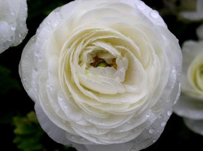PB212025.JPG
