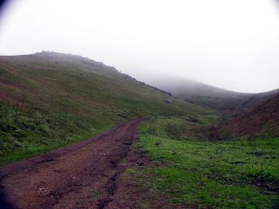 View of the climb and distant cows.