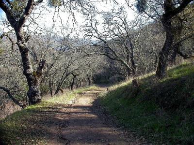 Looking back from the climb