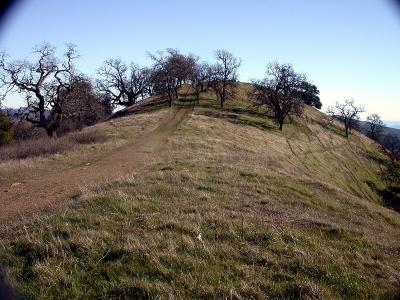 Trail to the Observation Point