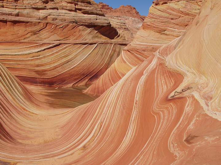 The Wave