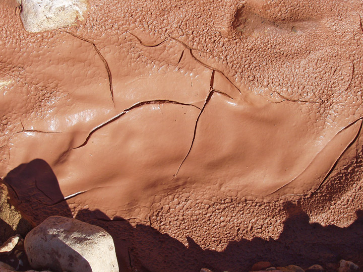 Early mudcrack formation