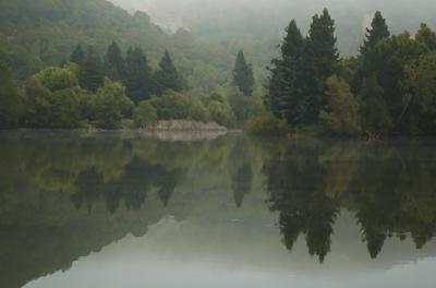 Spring Lake Fog