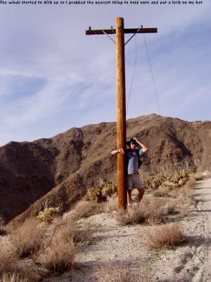 Holding On In Desert Winds