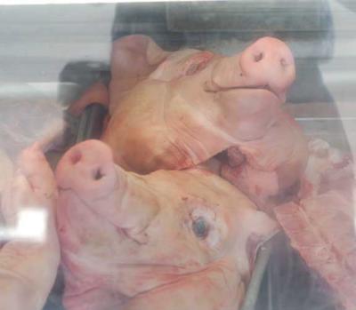 Porkers