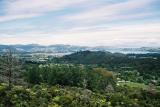 Looking over the town of Coromandel from the top of the railway