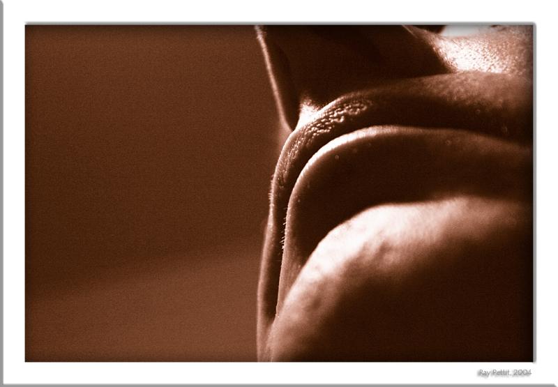November 18 2004: <br>Random Image