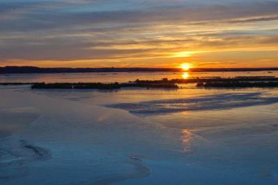 DSC_3676.jpg