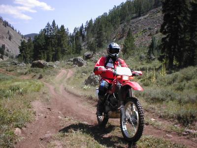 Tom-XR280