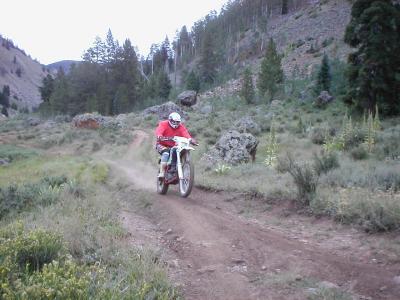 Dave-KTM