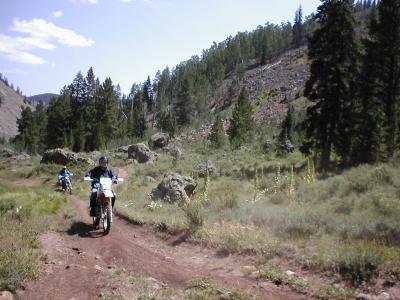 Dick-XR600
