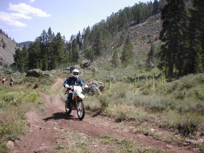 Duane-DR350