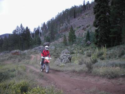 Gene-XR280