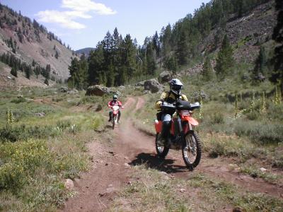 Jerry-KTM525