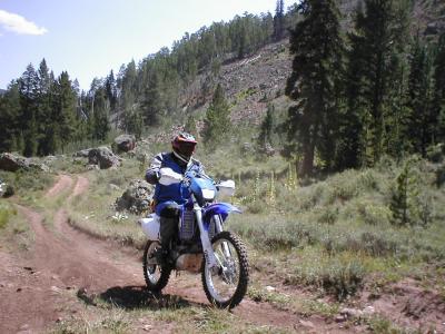 Minn. Ron Yamaha