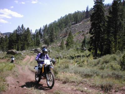 Minn. DRZ-E