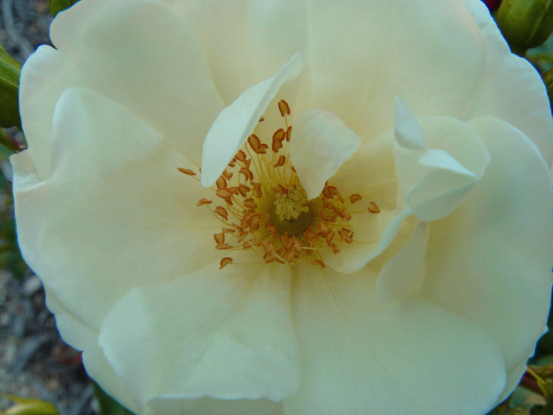 August 21, 2004<br><font size=2>Can you keep a secret?</font><br>Day 107