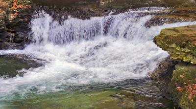 Babbling Brook