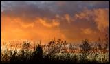 The Sky is Burning (*)