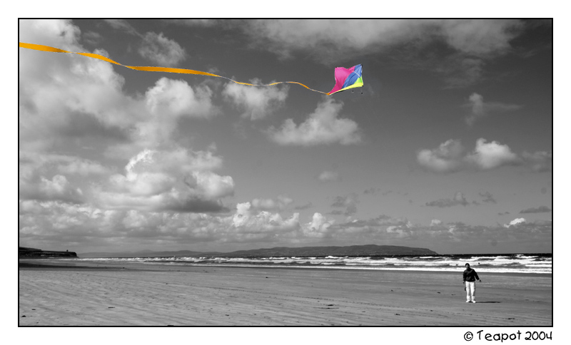 <b>Go Fly a Kite *</b>