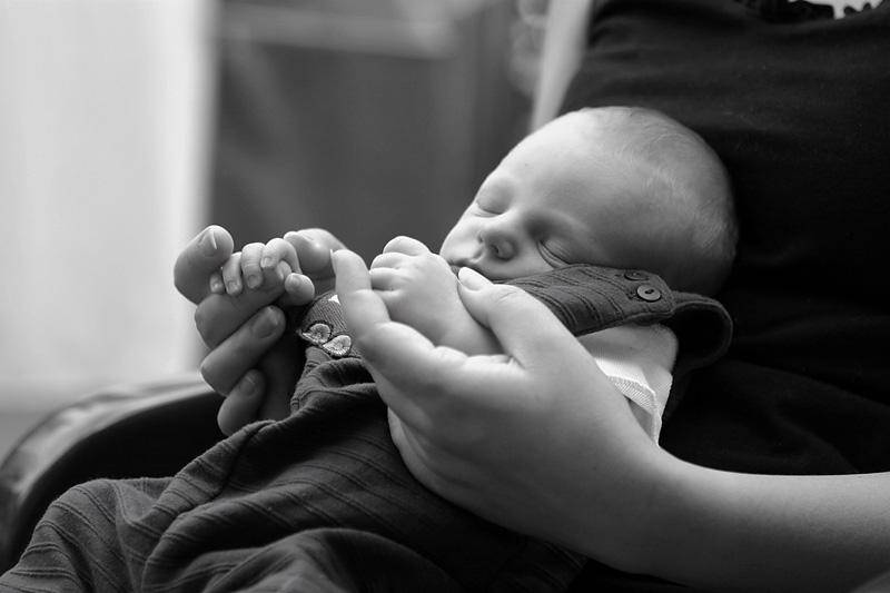 <b>I Cant Imagine Life Without my Son </b><br><i>by Tim Lauro</i>
