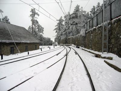 Train Home