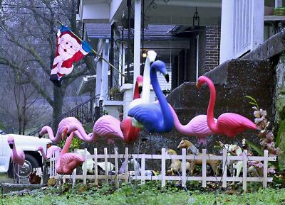 Flamingo Christmas
