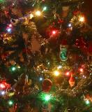 Tree of Memories
